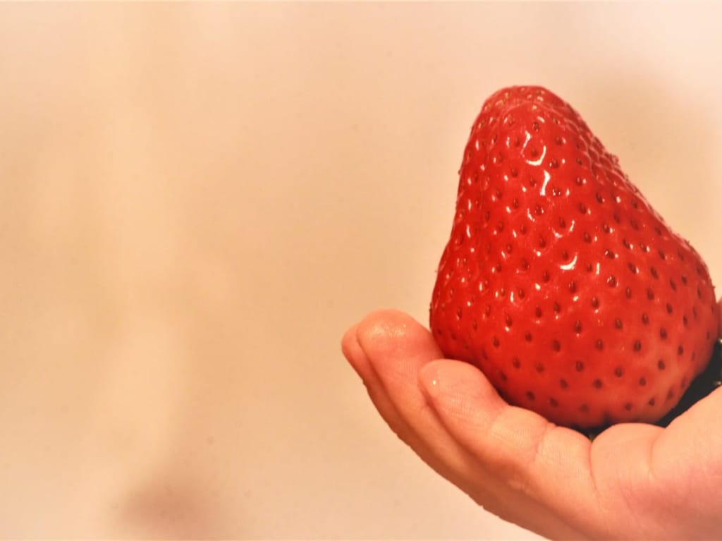 ichigo-image2