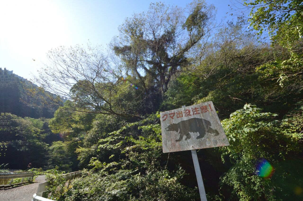 クマに注意
