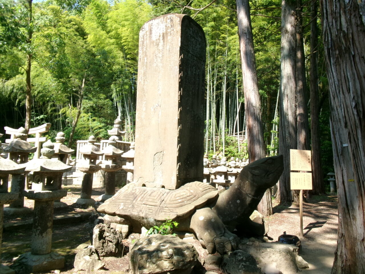 月照寺亀