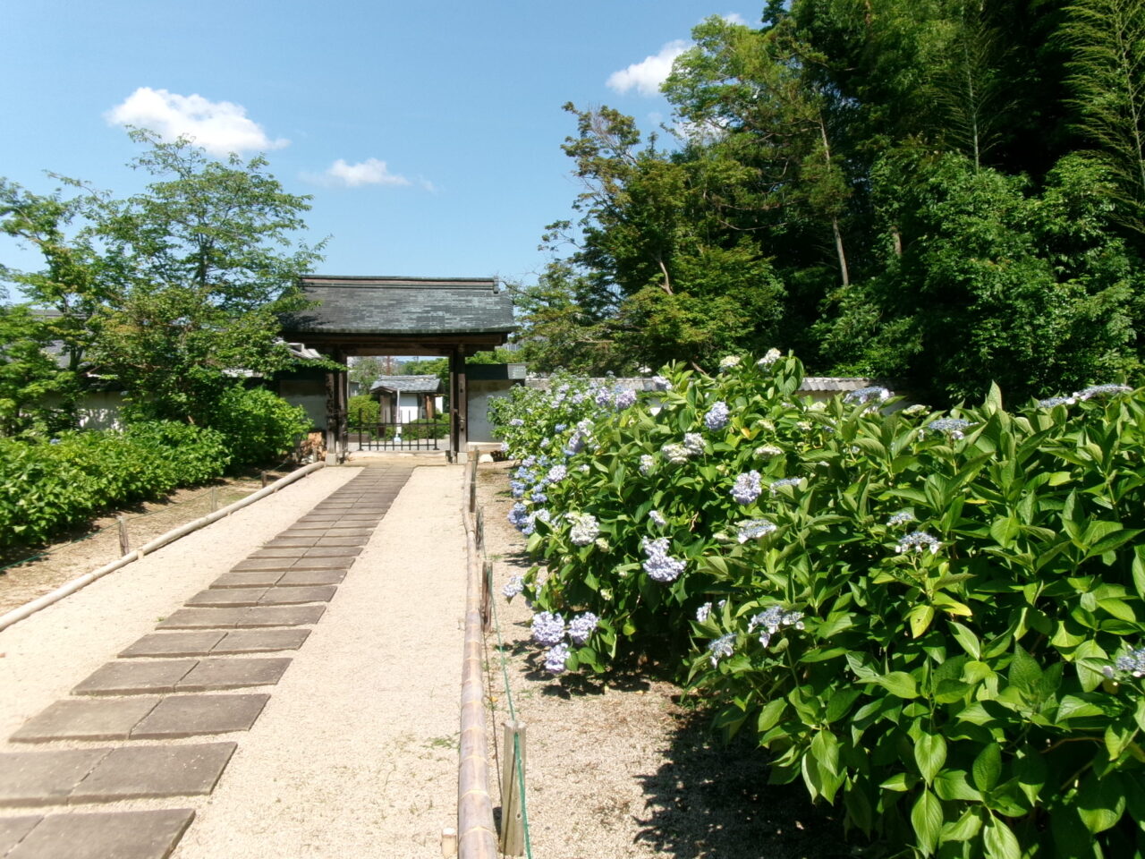 月照寺参道