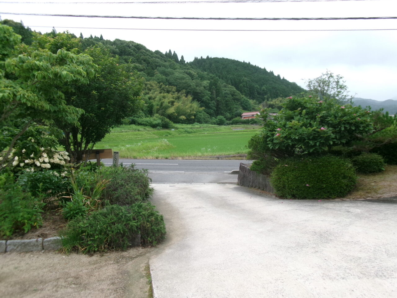 ヒュッテ田んぼ
